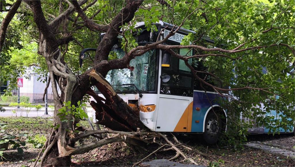 首都客運內湖三總院內撞樹10人送醫 疑機械故障釀禍