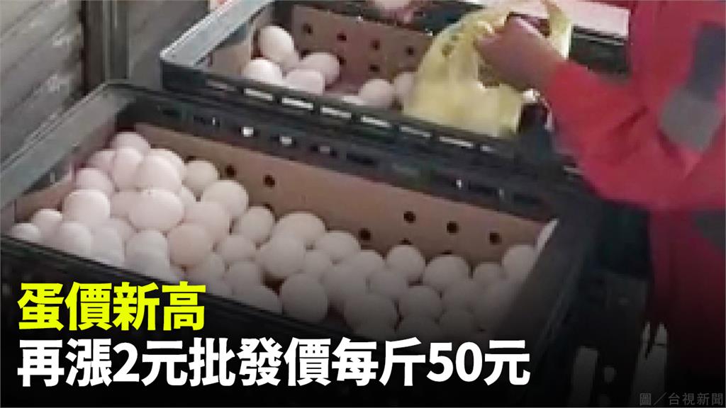 蛋價創新高，再漲2元批發價每斤50元。圖／台視新聞