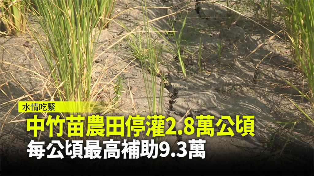 陳吉仲宣布，停灌面積約2萬8千公頃，補償措施最高每公頃9.3萬元。圖：台視新聞