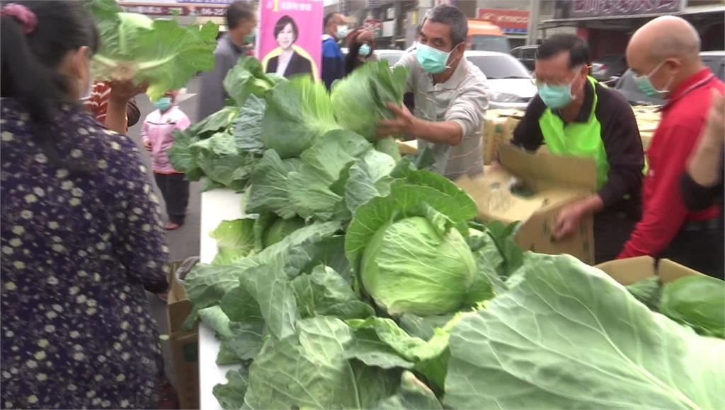 台南市議會攜手企業購買9萬斤高麗菜，免費發送給民眾。圖：台視新聞