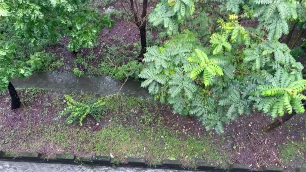 國道赫見家長將童放護欄 民眾：在如廁？